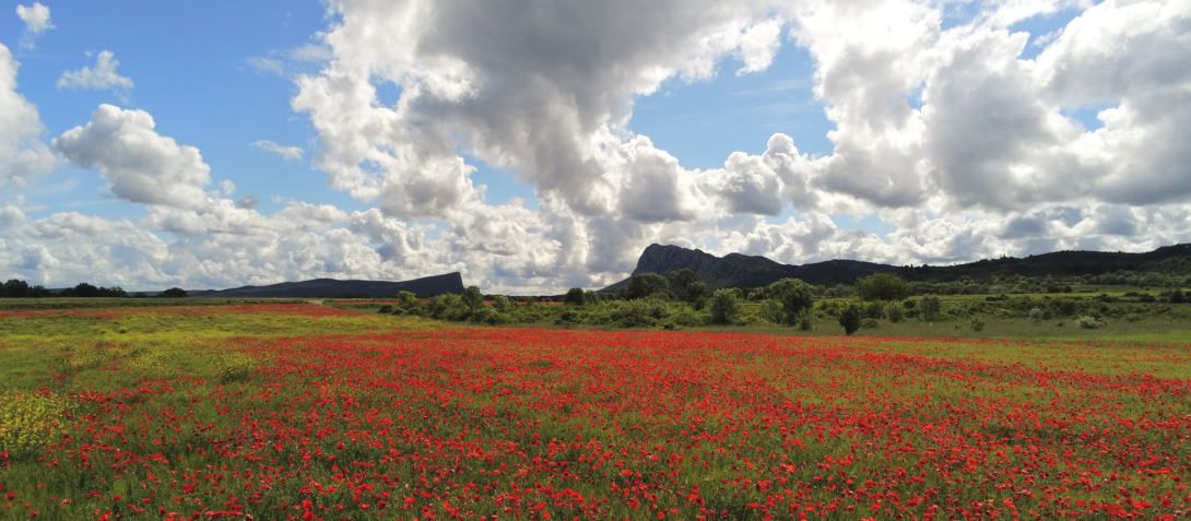 Le Pic Saint-Loup. Photo : Jean Philippe Gracia