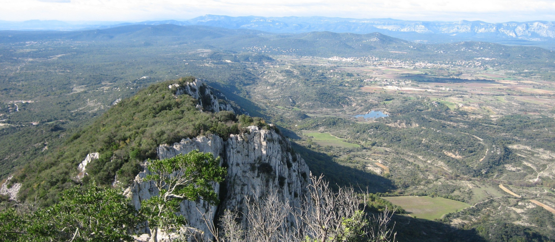 Vue sur le vallon de Londres depuis le Pic Saint-Loup. Photo : Elisabeth Capillon